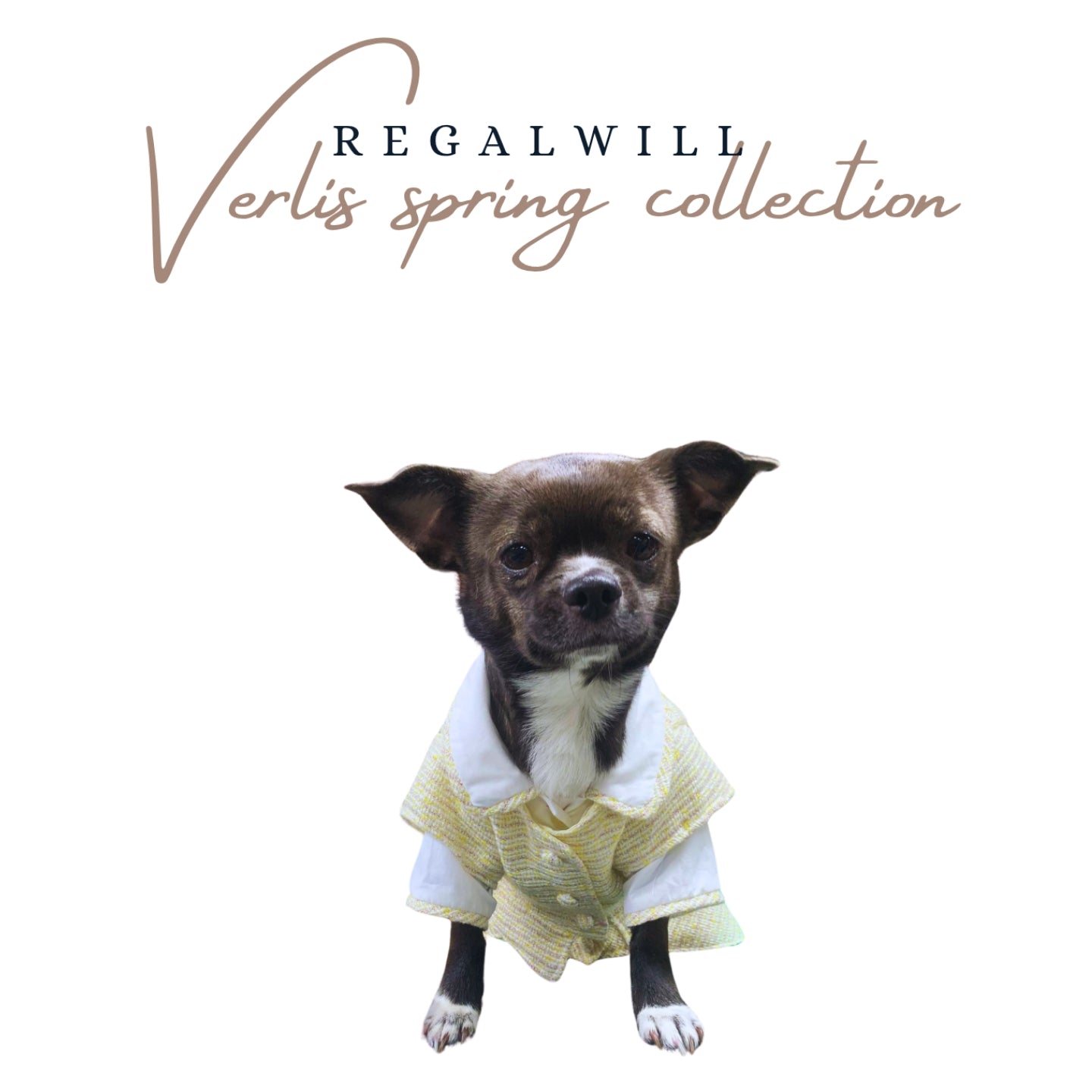 Verlis spring collection