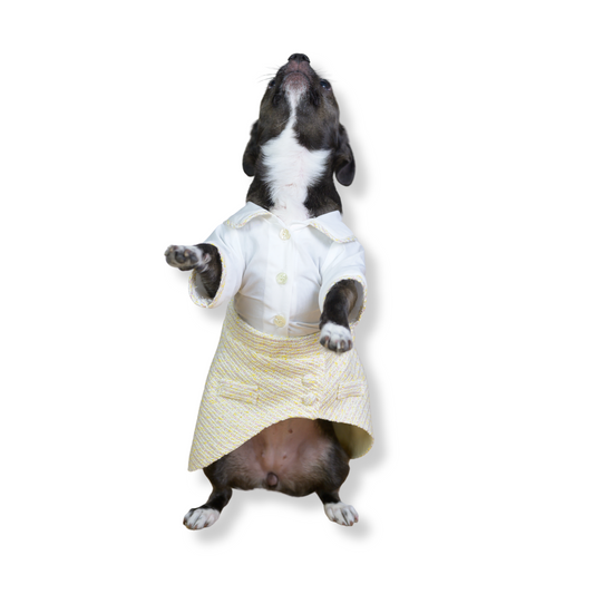 Verlis shirt and skirt