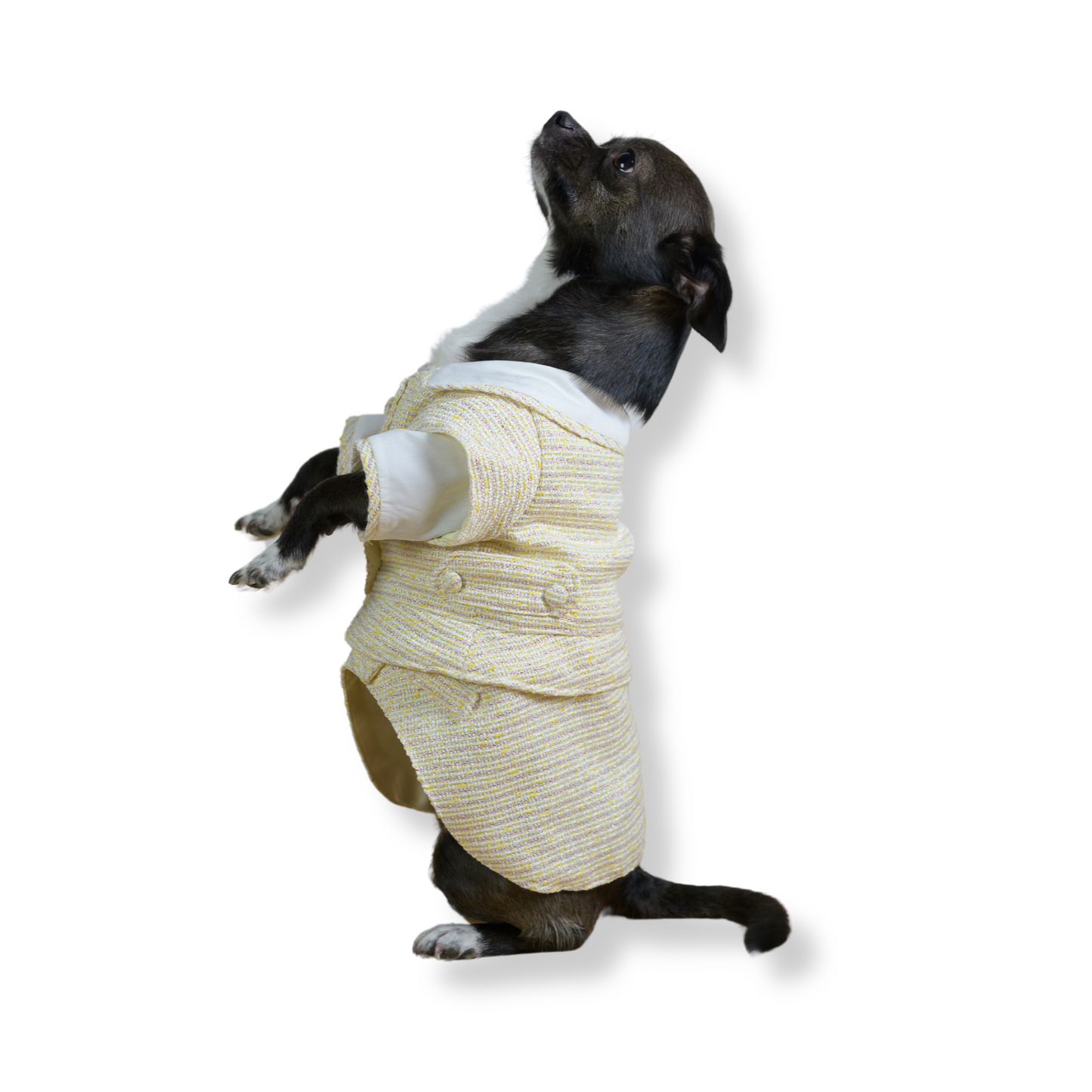 Verlis Skirt